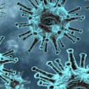 구로-구로-구로-1227 이미지