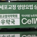 고바우약국 네이버블로그
