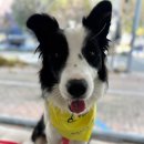 범어동물병원 이미지