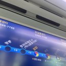 빅보스푸드 | 무수면 나트랑 여행기