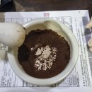 365서울한의원 이미지