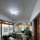 의성반점 이미지