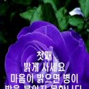 "홍하사의 잡다한이야기"---(1165) "인생 이야기"---(82) "아버지! 옛날에 어떻게 사셨어요?" & "장수 비결" 이미지