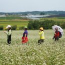 밀밭농장 이미지