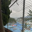 항상좋은날 이미지