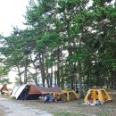 솔바람야영장 이미지