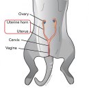 신도림동물병원 이미지