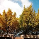 채원농장 이미지