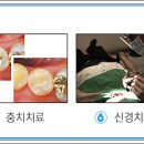 서울플란치과의원 이미지