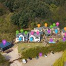 속초 애견펜션 양양 해피 플레이스 이미지