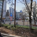 서초중앙공인중개사사무소 | [서초동 사무실 임대] 사무실 전용 90평, 인테리어 완비된 깔끔하고 모던 오피스 서초동 서초구 부동산