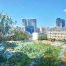 구립 마포청소년문화의집 이미지