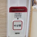 벨시스 이미지