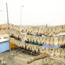 개미공원 근처 이미지