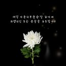 대덕부품 네이버블로그