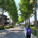 미국마을 이미지