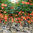 남해는, 지금 이미지