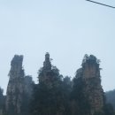 장가계여행6-1/천자산 하룡공원~원가계 이미지