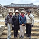 하회마을테마 이미지