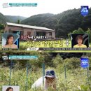 김희령 카카오 검색결과