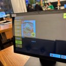 초원기름고추 | 초원양꼬치구이 | 상인 월배 양꼬치 꿔바로우 회식하기 좋은 양고기 맛집(내돈내산 솔직후기)