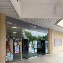 인하대학교 | 인하대학교 학식 후기