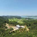 치유의 숲 이미지