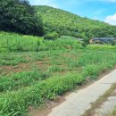 진도자동차유리 이미지