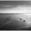 바다스케치 이미지