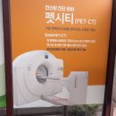 펫시티(PET-CT) 이미지