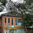 남종면 제청말길 12 | 남양주 별내 백숙 맛집 우리집가든 능이한방오리백숙 계곡 모임 추천