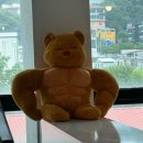 소나무헬스 이미지