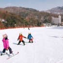 휘닉스파크 이미지