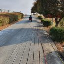 씨이에스 이미지