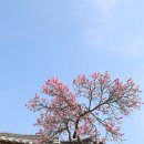 강하주유소 이미지