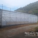 형태농장 이미지