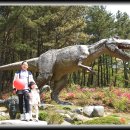 계룡산자연사박물관 이미지