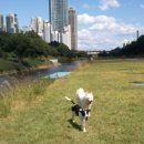 힐링요가 B 이미지