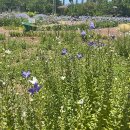 제주특별자치도 농업기술원 이미지