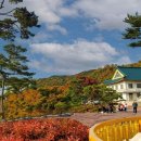 흥륜사 - 1429 | 흥륜사