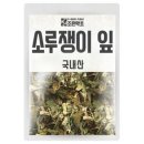 약초 이미지