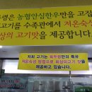 육두령
