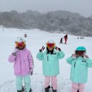 설천면115 | 무주스키샵, 겨울에 빠질수 없는 스키! 무주스키강습 타자고