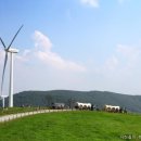 천년목장 이미지