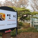 연지한정식 이미지