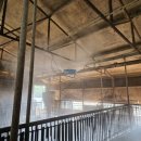 진기농장 이미지