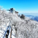 이번 주말에 여기 갈까?... 폭설 때문에 더욱 아름다워진 설경 명소 이미지