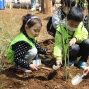 광진어린이집 이미지