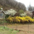 마이산민박 이미지