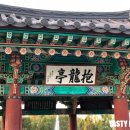 오리지날 전통어죽